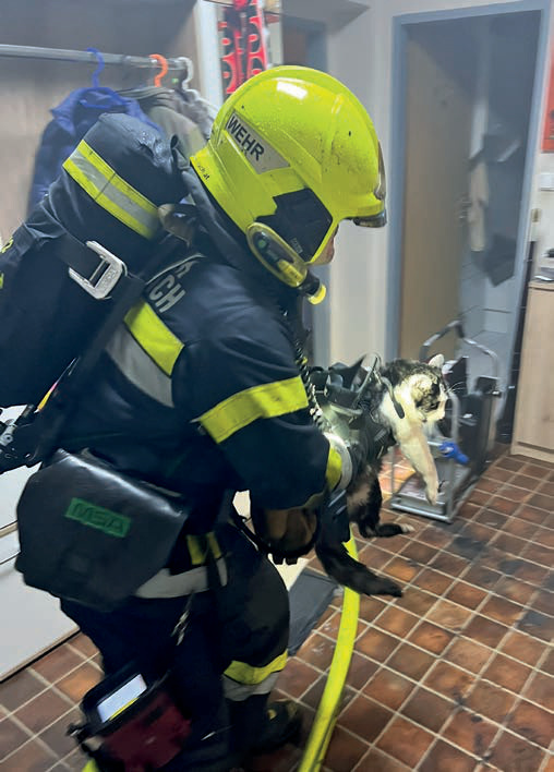 Feuerwehrmann rettet Katze