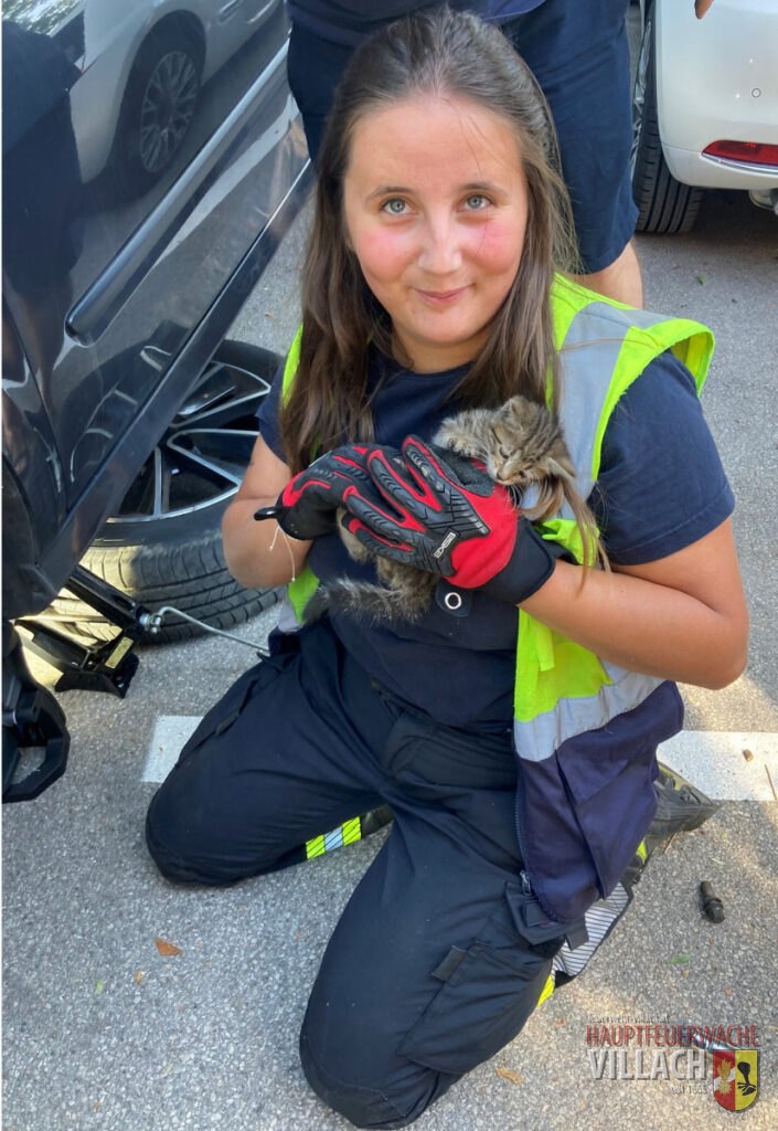 Tierischer Einsatz in Warmbad – Katze aus Motorraum gerettet