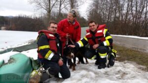 Tierische Rettungsaktion in Villach