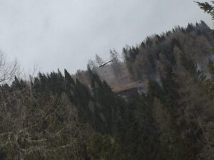 Hauptfeuerwache Villach unterstützt bei Waldbrand im Gegental