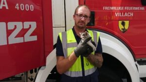 Tierischer Einsatz in Villach