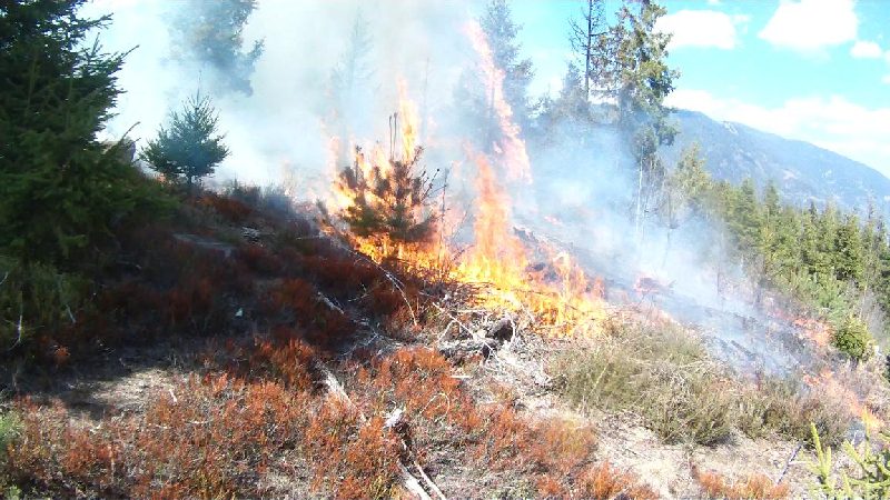 Einsatzreicher Nachmittag für die Villacher Feuerwehren (Bild 2)
