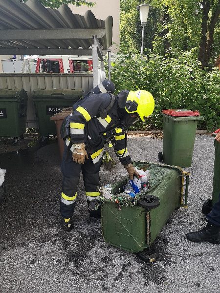 Müllinselbrand (Bild 2)