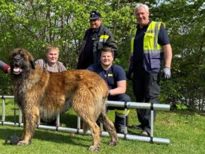 Tierbergung am Drauufer
