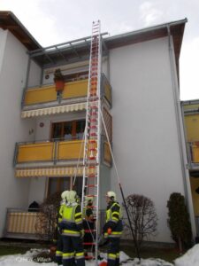 Tierischer Einsatz