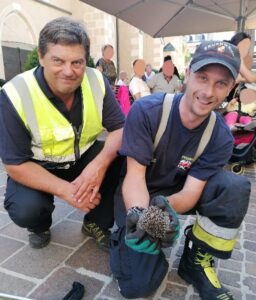 Gleich zwei Tierrettungen