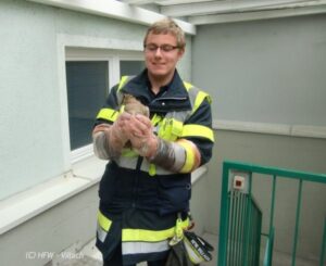 Tierische Rettungsaktion in Villach